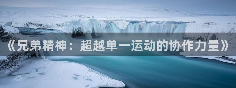 征途国际招商电话地址是多少：《兄弟精神：超越单一运动