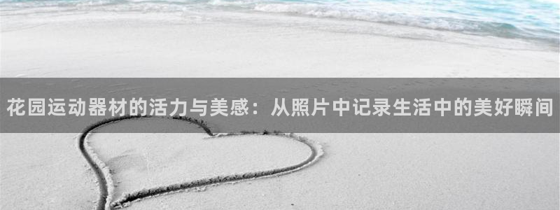 征途国际集团官网：花园运动器材的活力与美感：从照片中