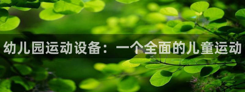 征途国际平台注册流程图：幼儿园运动设备：一个全面的儿童运动