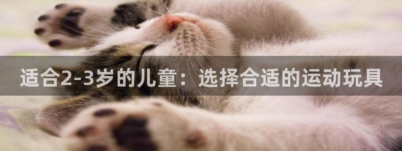 征途国际娱乐首页网站大全：适合2-3岁的儿童：选择合