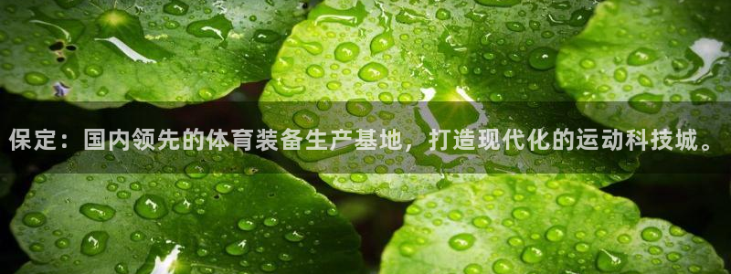 征途国际招商电话号码：保定：国内领先的体育装备生产基地，打造