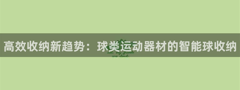 征途国际集团官网网址：高效收纳新趋势：球类运动器材的智能球收