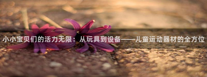 征途国际招商：小小宝贝们的活力无限：从玩具到设备——儿童运动