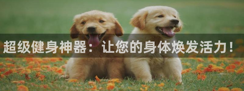征途国际平台注册要钱吗安全吗：超级健身神器：让您的身体焕发活