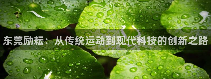 征途国际集团官网首页网址：东莞励耘：从传统运动到现代科技的创