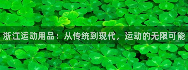海南征途国际发展怎么样