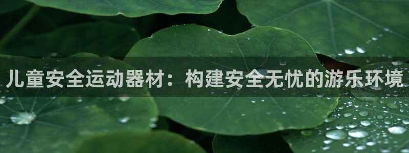 征途国际平台：儿童安全运动器材：构建安全无忧的游乐环境