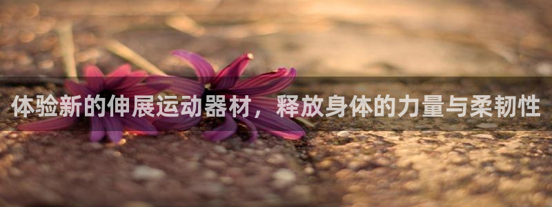 征途国际集团官网首页：体验新的伸展运动器材，释放身体的力量与