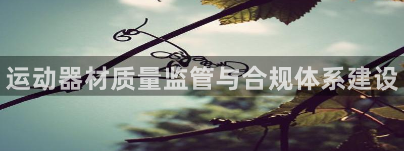 征途国际集团官网首页网址：运动器材质量监管与合规体系