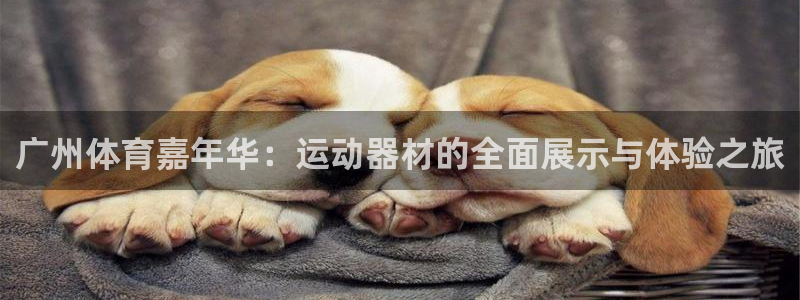 征途国际平台假的吗是真的吗：广州体育嘉年华：运动器材