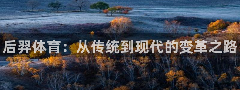 征途国际平台假的吗是真的吗吗：后羿体育：从传统到现代