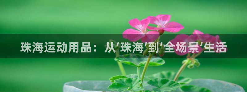 征途国际招商电话号码是多少啊