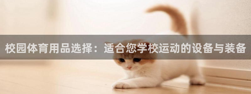 海南征途国际：校园体育用品选择：适合您学校运动的设备与装备