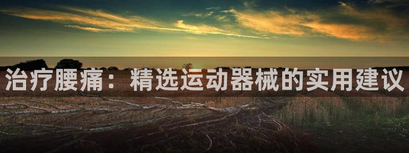 征途国际招商电话号码是多少：治疗腰痛：精选运动器械的实用建议