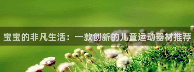 征途国际招商电话：宝宝的非凡生活：一款创新的儿童运动器材推荐