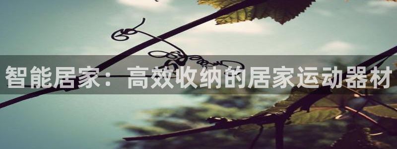 征途国际集团官网首页：智能居家：高效收纳的居家运动器