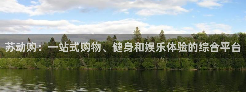 征途国际神州