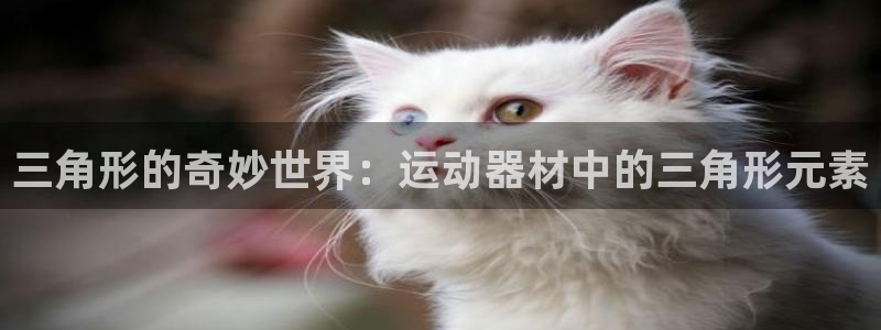 征途国际娱乐是那个系列的台子：三角形的奇妙世界：运动器材中的