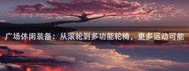 征途国际平台注册流程图：广场休闲装备：从滚轮到多功能
