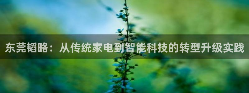 注册征途国际：东莞韬略：从传统家电到智能科技的转型升级实践